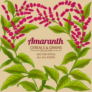 Amaranth vector frame Stock Illustration
