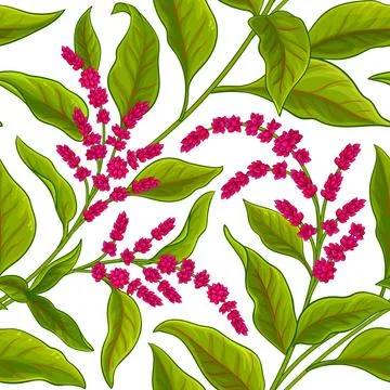 Amaranth vector pattern 스톡 일러스트