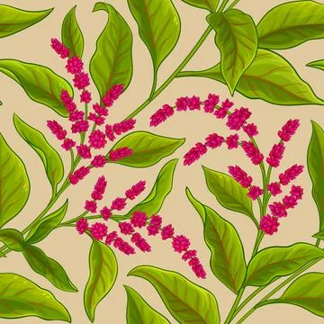 Amaranth vector pattern Stock Illustration