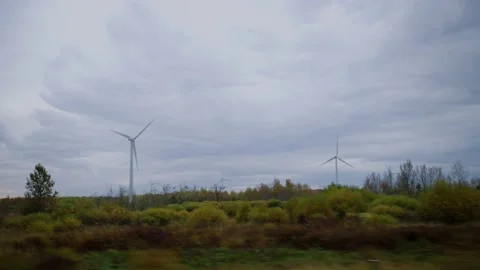 Amaranth Wind Farm Stockbeeldmateriaal 219446971