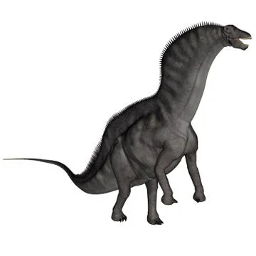 Amargasaurus dinosaur - 3D render Stock Illustration