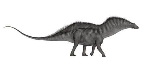 Amargasaurus dinosaur - 3D render Stock Illustration
