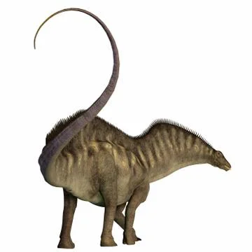 Amargasaurus Dinosaur Tail Stock Illustration