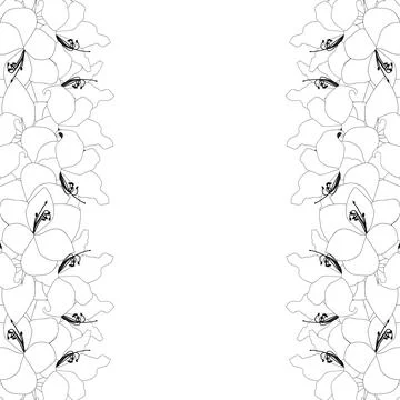 Amaryllis Outline Border Stock Illustration