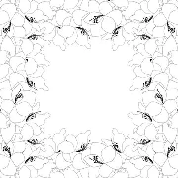 Amaryllis Outline Border2 Stock Illustration