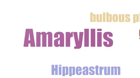 Amaryllis Wordcloud Animated Isolated On White Stock Footage 107238050