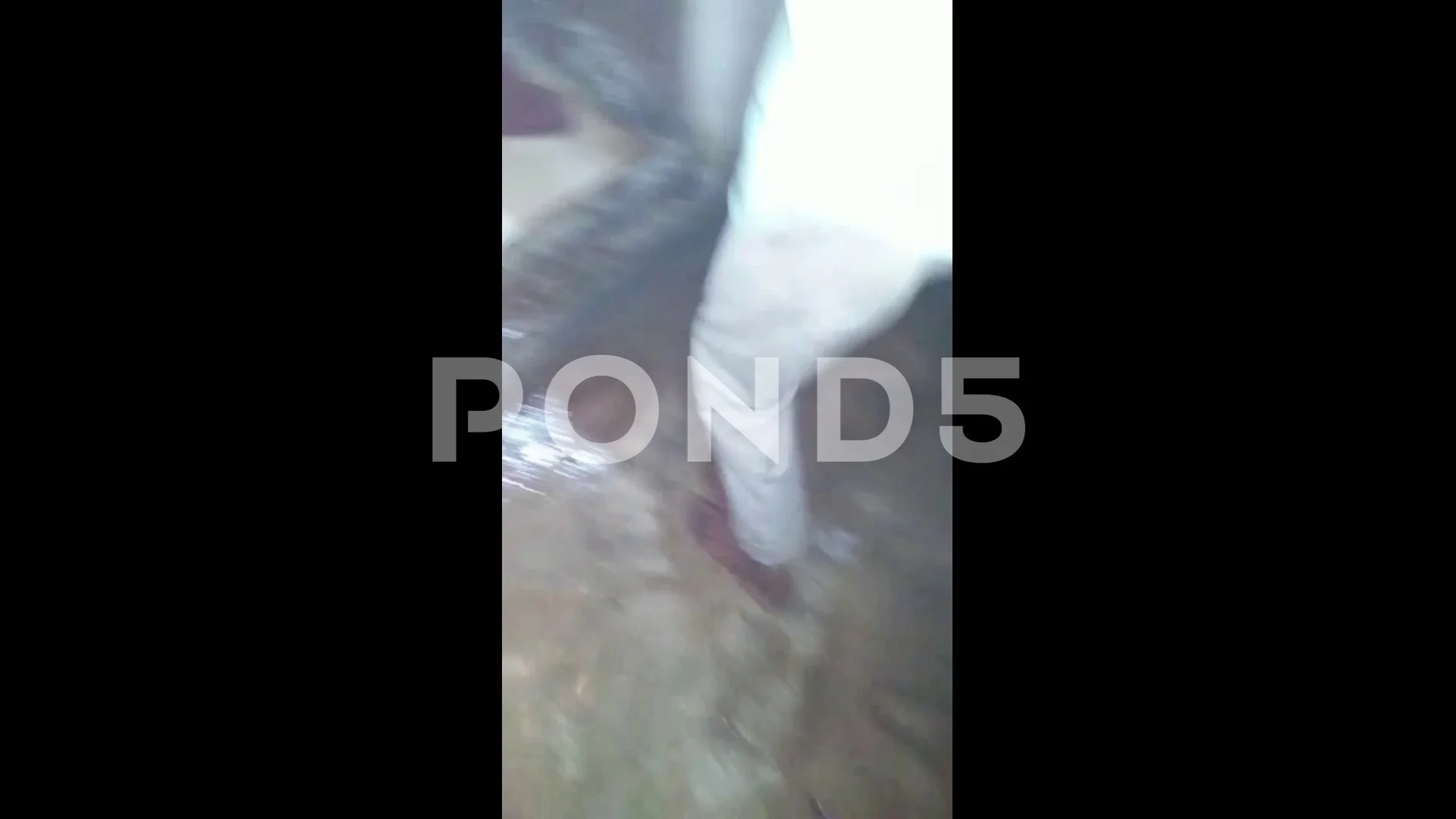 Amateur rescuer in ICU after provoking harmless snake to bite