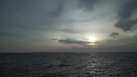 Amatoa timelapse Stock Footage 310042058