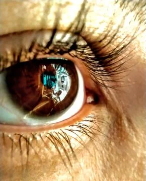 Amayzing Brown Eye Stock Photos