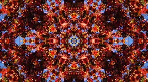 Amazing abstract kaleidoscopic pattern with red maple foliage and blue sky Stock Footage 67586561