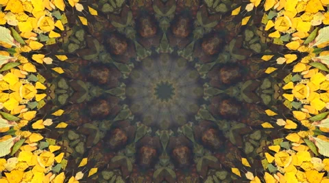 Amazing abstract pattern with autumn yellow leaves Stock Footage 66514606