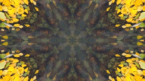 Amazing abstract pattern with autumn yellow leaves, floating on shallow water Stock Footage 66514959