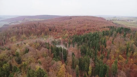 Amazing Aerial Footage of Forest During Autumn Foliage Stock Footage