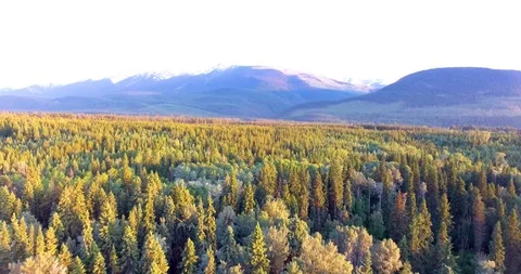 Amazing aerial pulling back over forest and mountain in sunset Stockbeeldmateriaal 92708829