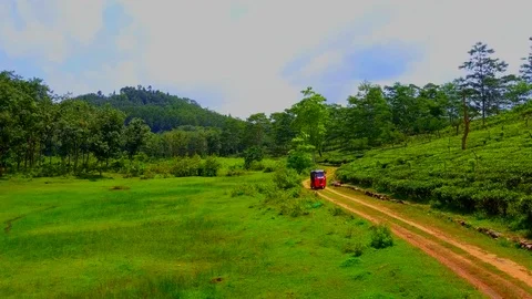 Amazing Aerial View of fields planted with tea and keke Napep Stock Footage 107914370
