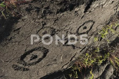 Amazing ancient Hawaiian petroglyphs on lava rocks, Big Island, Hawaii Stock Photos