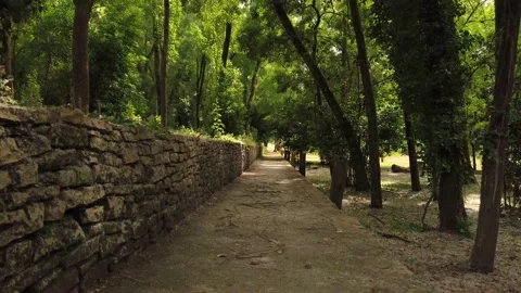 Amazing and relaxing path in the forest. Stock Footage 132529348