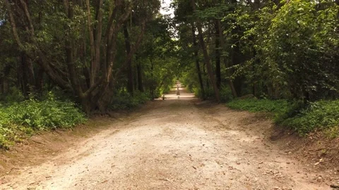 Amazing and relaxing path in the forest. hiking trail Surrounded by trees Stock Footage 133175571