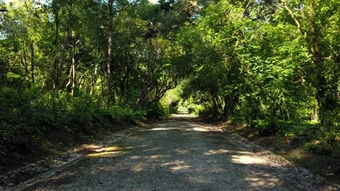 Amazing and relaxing path in the forest. hiking trail Surrounded by trees Stock Footage 154163459
