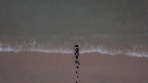 Amazing Artistic Performance in the Sea with Ink; Xiamen, China Stock Footage 101236953