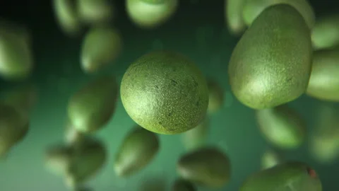 Amazing avocado fruit jumping in slow motion 4K Stock-Footage 151133721