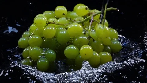 Amazing bathing for fresh green grape bunch, laying in shallow water Stock Footage 78353402
