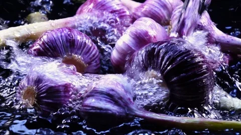 Amazing bathing for young garlic, laying in shallow water in back-light. Stock Footage 77719086