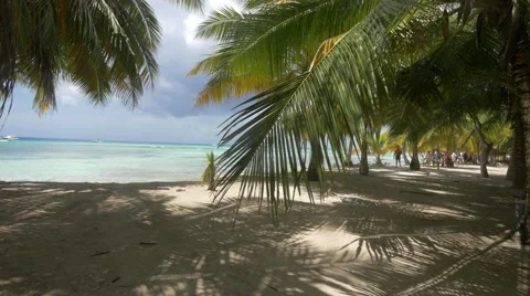 The amazing beach of Punta Cana Stock Footage 50417185