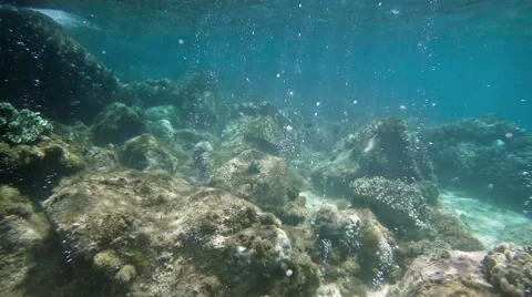 Amazing bubbles rise from the seabed. 스톡 동영상 40302396
