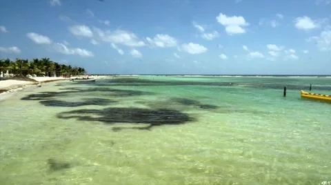 Amazing Caribbean beach view Stock Footage 47784457