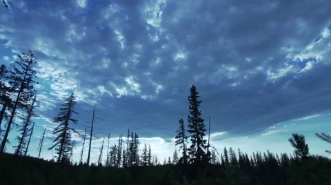 Amazing Cloud and Forest Time Lapse Stock Footage 56093989