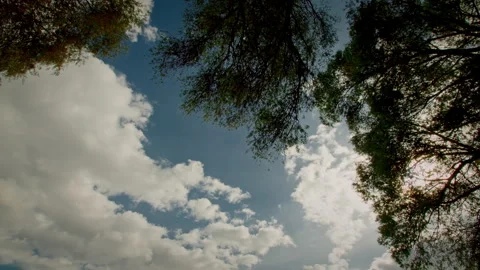 Amazing clouds at daylight from the forest Stock Footage 232642014