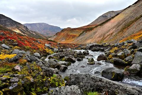 Amazing colors of the mountain tundra in autumn in Kamchatka Stock Photos