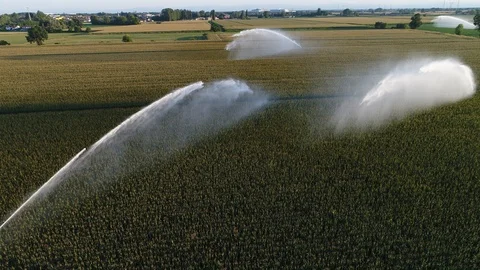 Amazing corn irrigation from the sky Stock-Footage 126180383