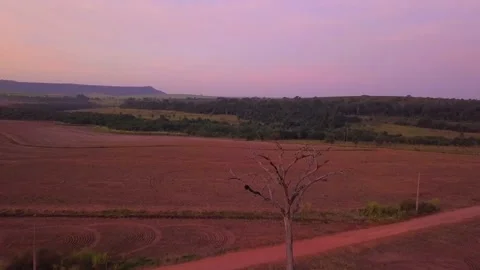 Amazing Cotton Candy Sunset. Stock Footage 156874735