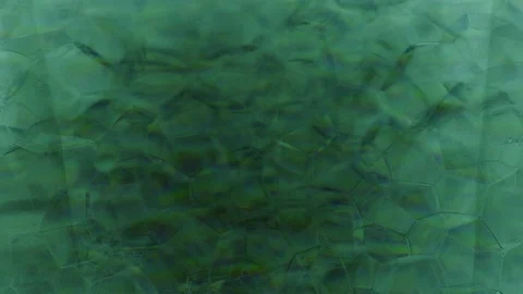 Amazing dark sparkling background pattern mabe of bubbles Stock Footage 124441933