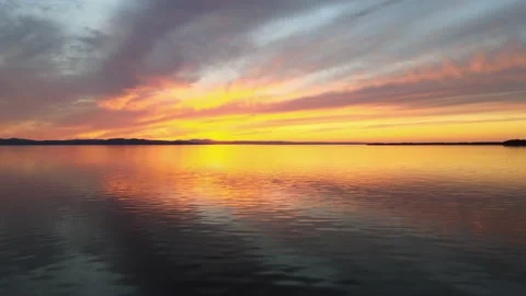 Amazing deep sunset with bird flying 動画素材 132240037