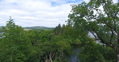 Amazing Drone Shot Through a Forest Stock Footage 97702103