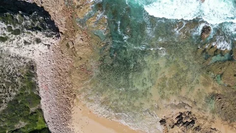 Amazing Drone View of Beach, Sand, and Forest Video stock 297119023