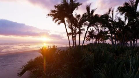Amazing evening sunset over the endless sea. Blue sky, yellow sun, palm trees Stock Illustration