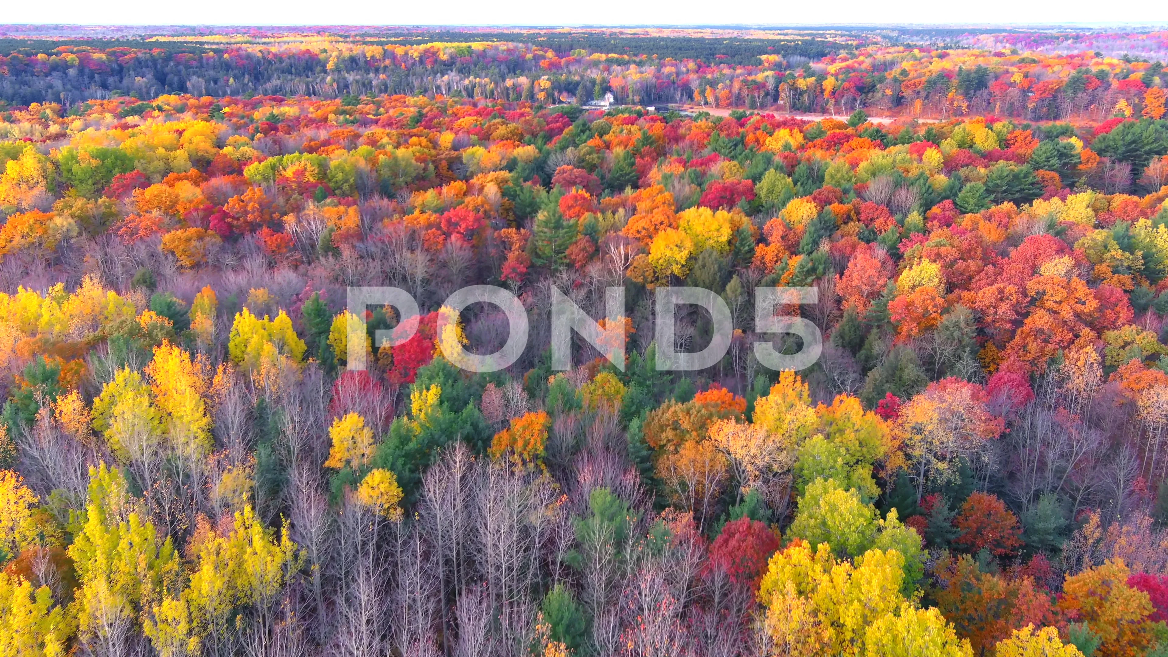 Wisconsin Rapids Fall Northern Wisconsin Fall Colors Who’s Headed To Door County This