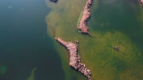 Amazing flight very high with a view of the islands with a yellow reeds Stock Footage 128619476