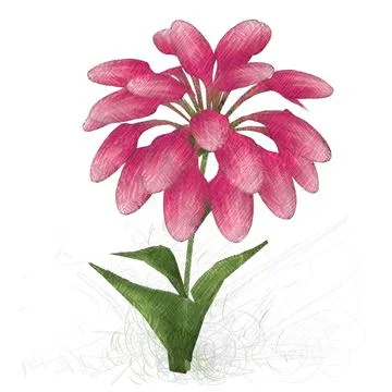 Amazing flower illustration. Isolated object on white background. Stock Illustration