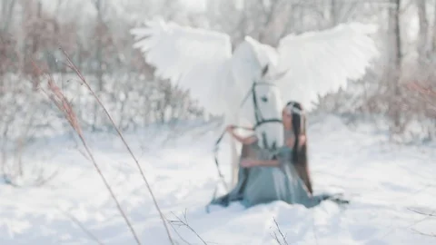 Amazing friendship, charming dark-haired princess sitting on snow in winter Stock Footage 104474544