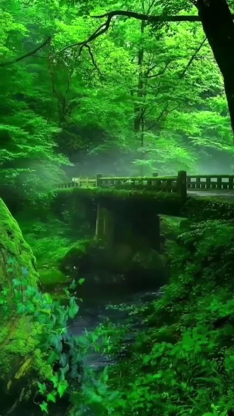 Amazing Gift From God Video stock 213902257