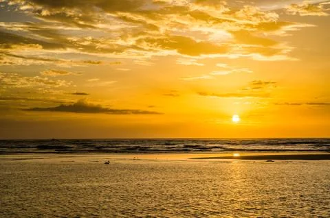 Amazing golden sunset with dramatic clouds, silhouettes of birds including a Stock Photos