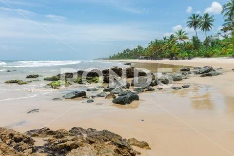 Amazing green nature at the Itacarezinho beach Stock Photos