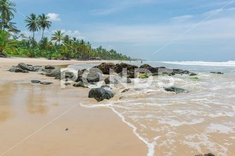 Amazing green nature at the Itacarezinho beach Stock Photos