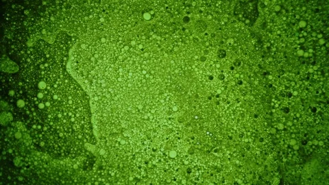 Amazing green pattern appearing background liquid art Stock Footage 127867053
