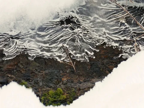 Amazing Ice Patterns over a Stream 库存影片 73544510